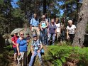 2017-06-01 11-10-02 Rando Fontainebleau-Groupe du matin DLe